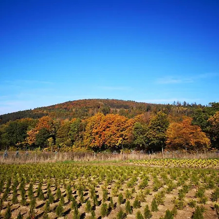 Am Kreuzfelsen Apartman