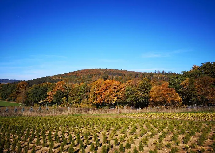 Am Kreuzfelsen 公寓